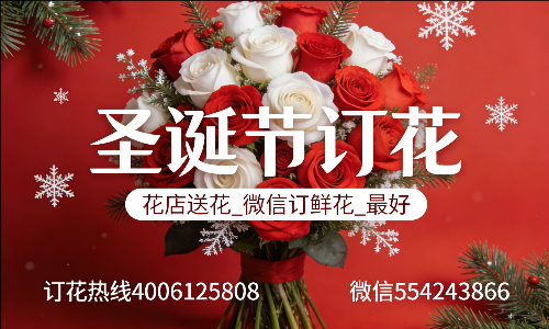 石家庄正定县花店送花_微信订鲜花_圣诞节订花_最好? 石家庄正定县花店